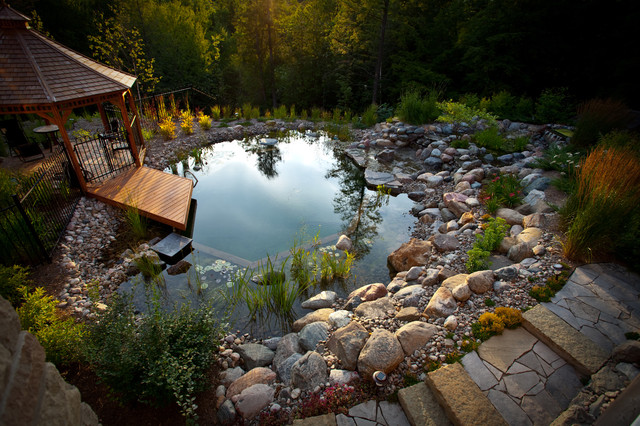 fürdőtó úszómedence vegyszer nélkül kerti tó biológiai víztisztítás