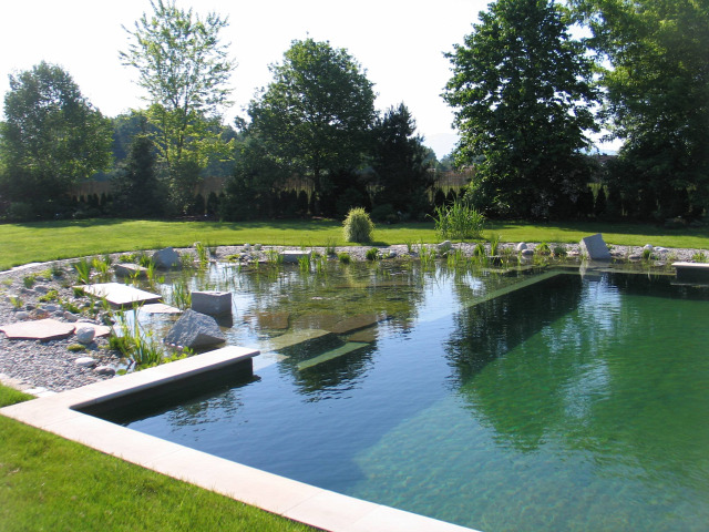fürdőtó úszómedence vegyszer nélkül kerti tó biológiai víztisztítás