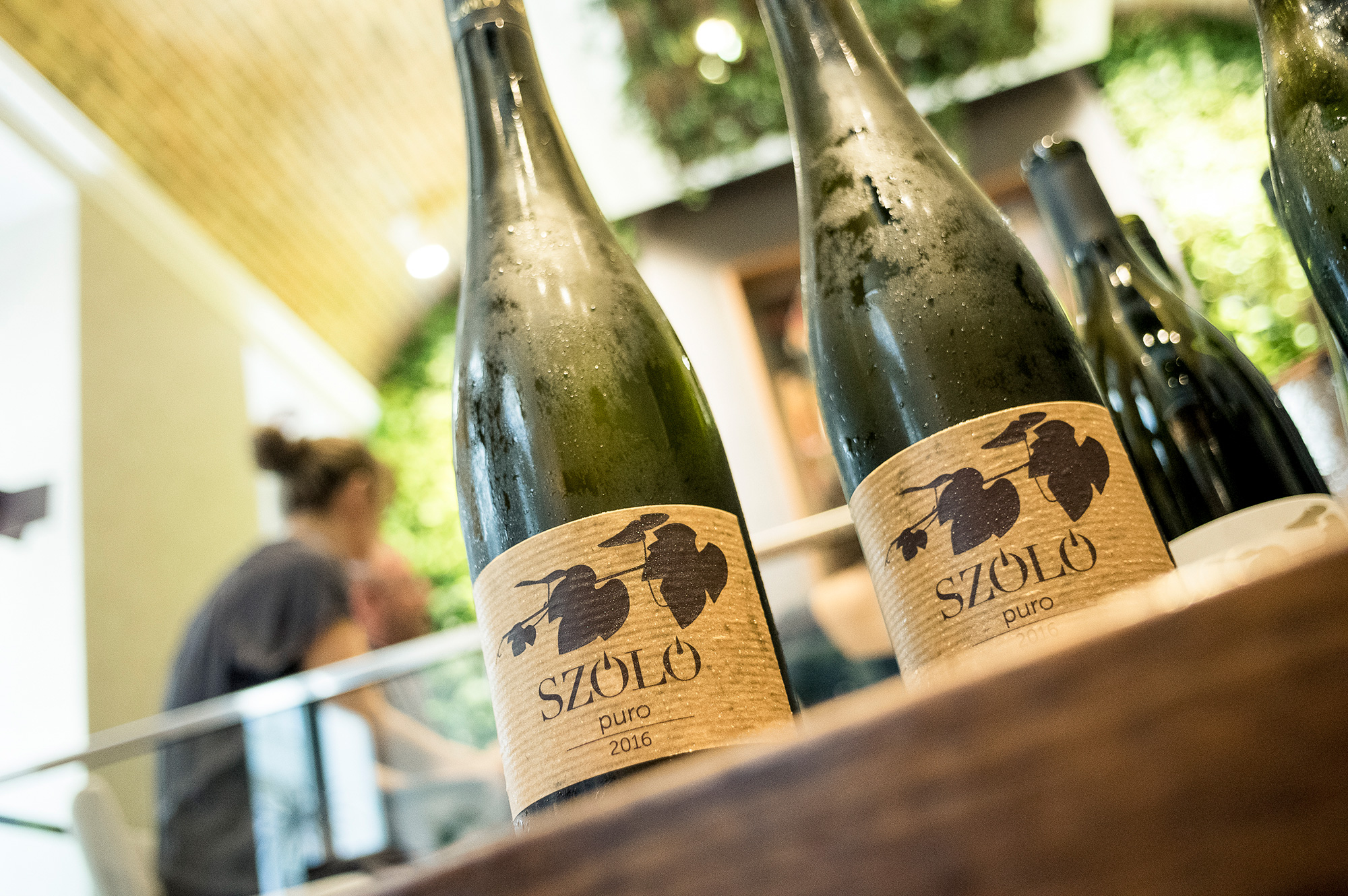 szóló bor furmint hárslevelû puro costes dowtown