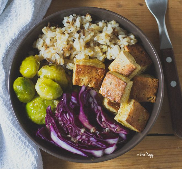 tél saláta vegetáriánus vega vegán tápláló maradékok zizi kalandjai recept húsmentes hétfő kelbimbó tofu barna rizs lila káposzta