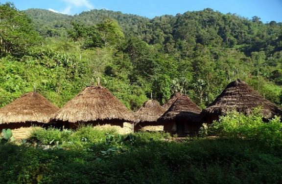 Muthanzi faluja