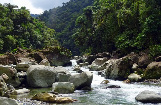 Costa Rica Cartago Tapantí Nemzeti Park