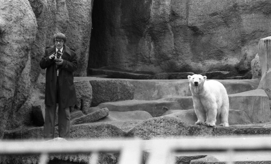 Budapest Állatkert 150 éves születésnap Fővárosi Állatkert