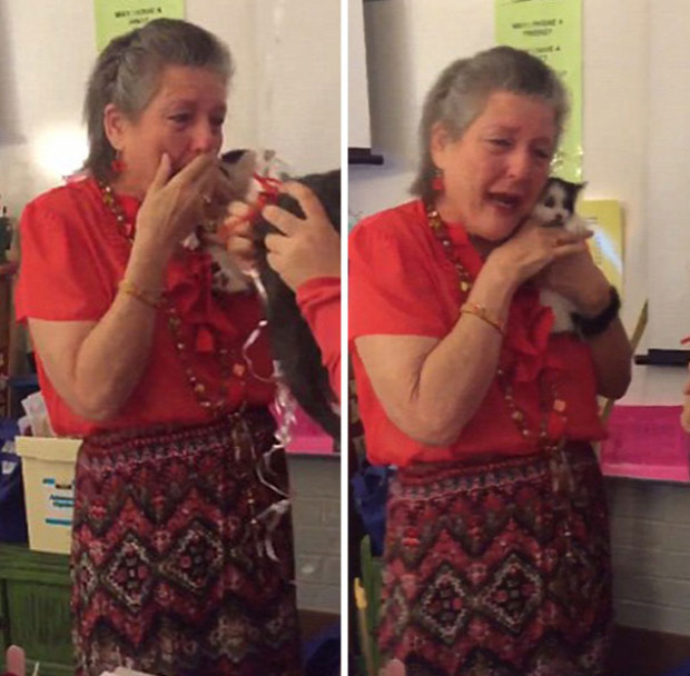 Texas  középiskola tanár ajándék cica