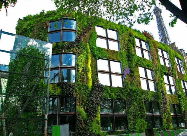 A világ érdekes Párizs rendelet törvény zöld felület kert