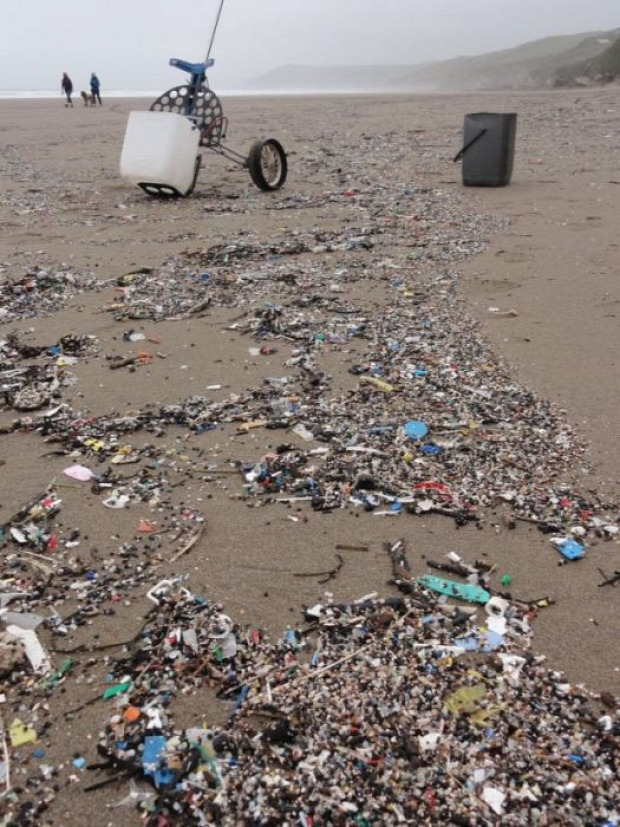 Isten állatkertje Anglia Cornwall tengerpart Tregantle Beach  öböl szemét gyűjtés