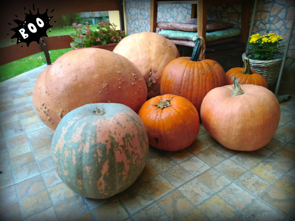 ősz halloween tökfaragás