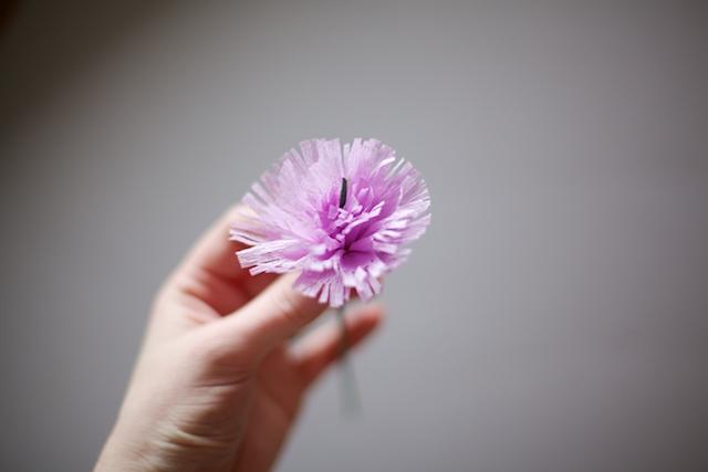 Paper Carnations