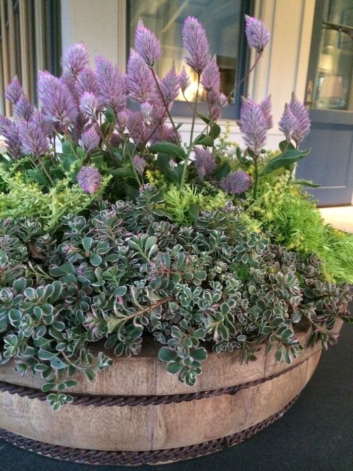 28 Container Gardens for Spring: Day 27