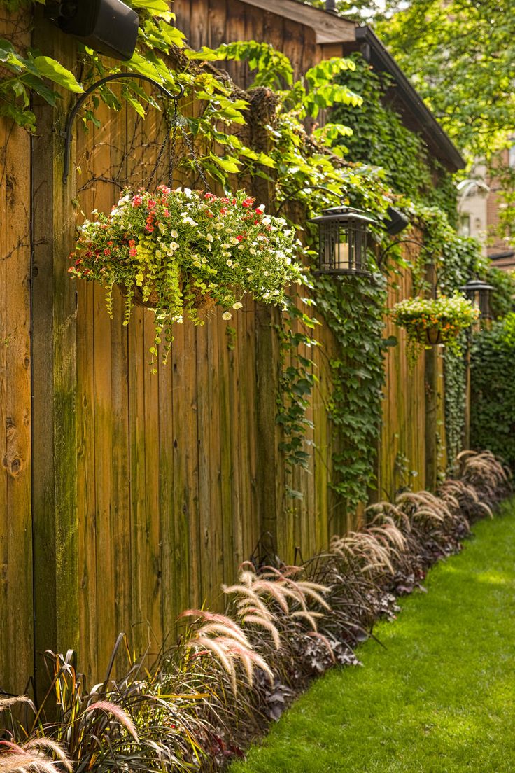 softening a privacy fence