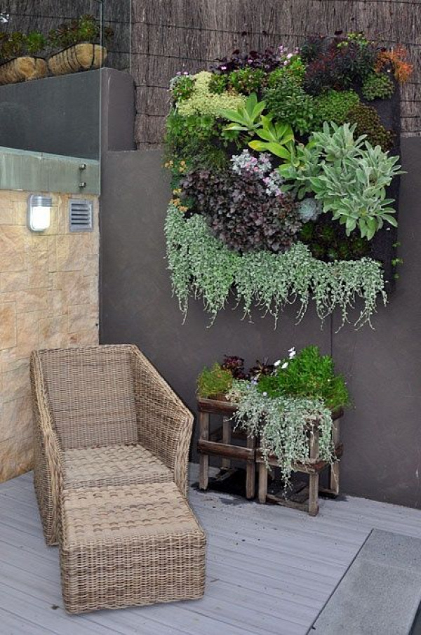 This is one of the best vertical garden examples I've seen. In the 