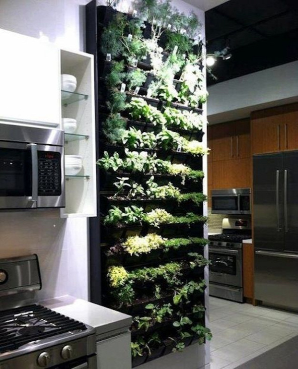 Evergreen Indoor Herb Garden | 39 Insanely Cool Vertical Gardens