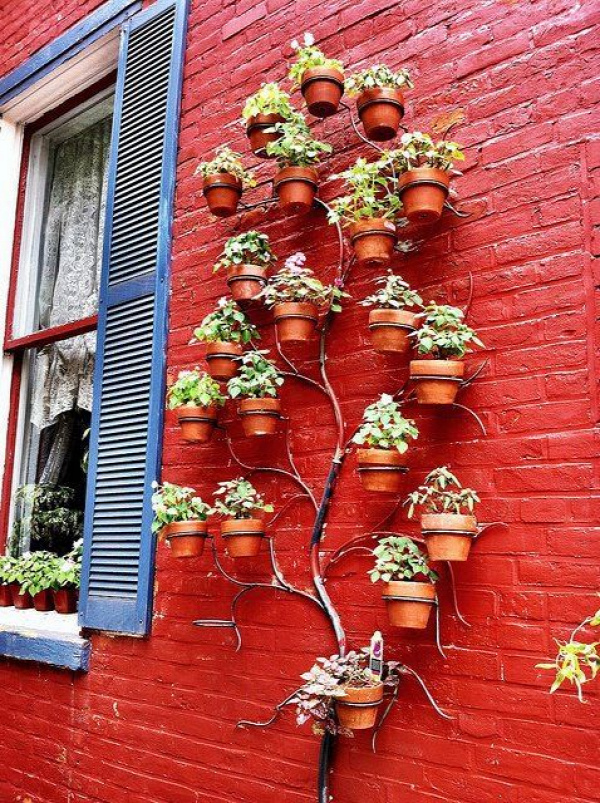 Adorable vertical garden! For the side of shed :)