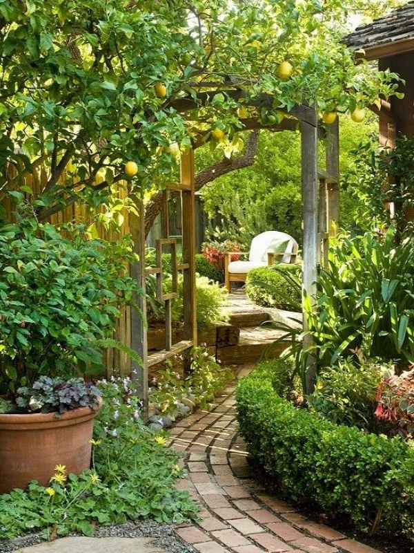 25 Ideas for Gardens Designs Love this!