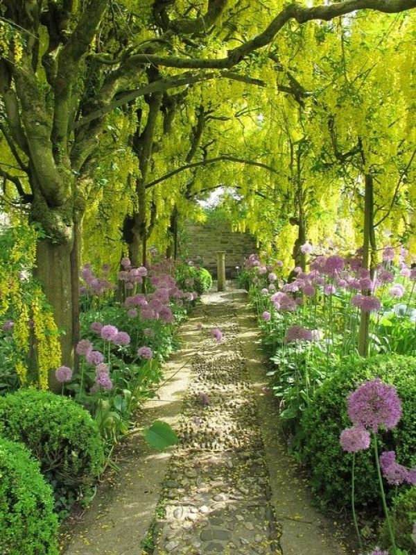 A walking path covered by trees and framed with flowers is a lovely thing.