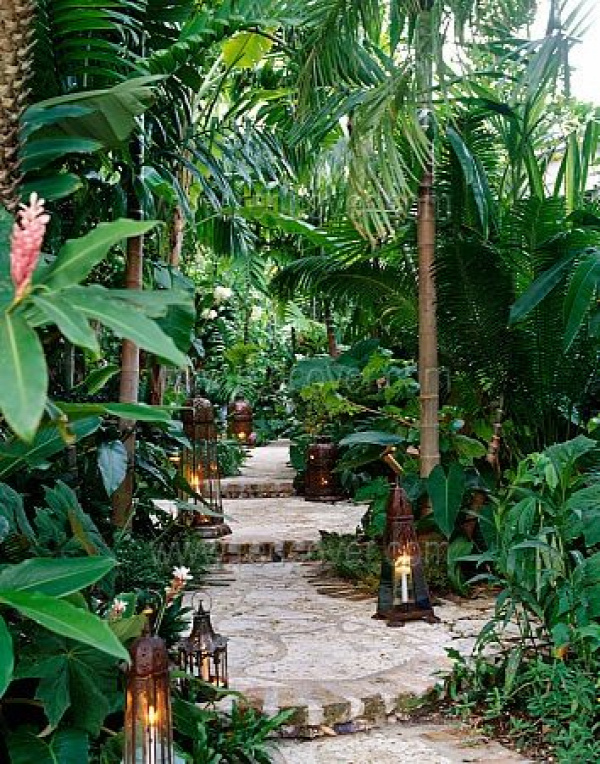 Tropical garden with walkway...    If only I lived somewhere where the climate could support this foliage!!
