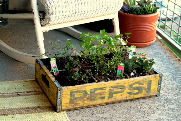 35+ Creative DIY Herb Garden Ideas --&gt; DIY Herb Garden In An Old Crate