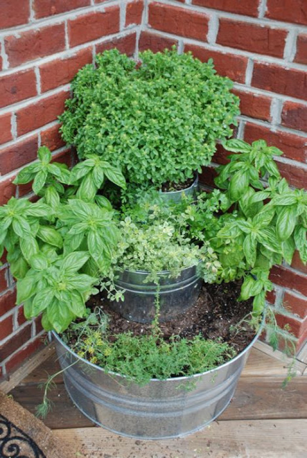 35+ Creative DIY Herb Garden Ideas --&gt; DIY Back Door Herb Garden