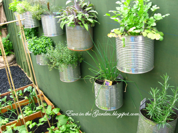 35+ Creative DIY Herb Garden Ideas --&gt; DIY Herb Garden On The Wall