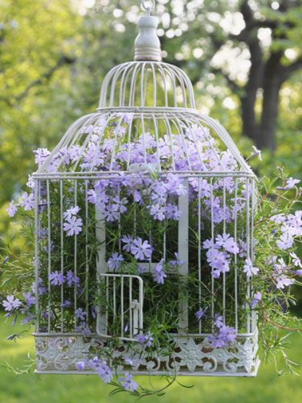 So cute! I like how to color of the birdcage - white, contrasts the color of the flowers - purple. Cool idea to have in the garden or backyard!
