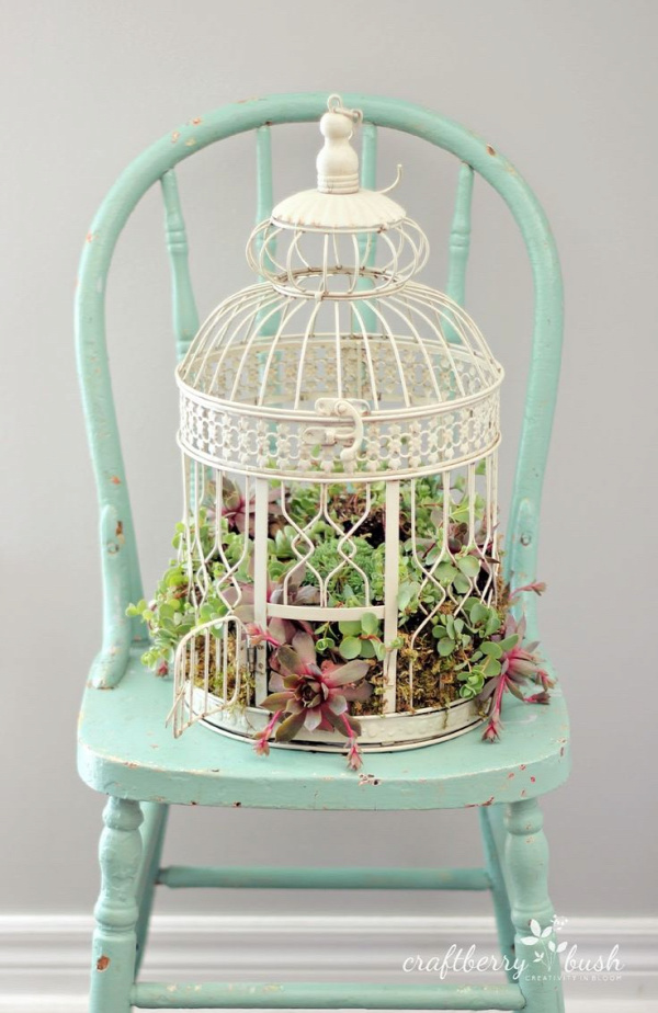 Craftberry Bush: How to plant succulents in a birdcage #succulent #gardening