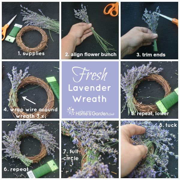 how to make a lavender wreath http://club.conservationgardenpark.org/2013/08/living-arrangements-simple-lavender-wreath/