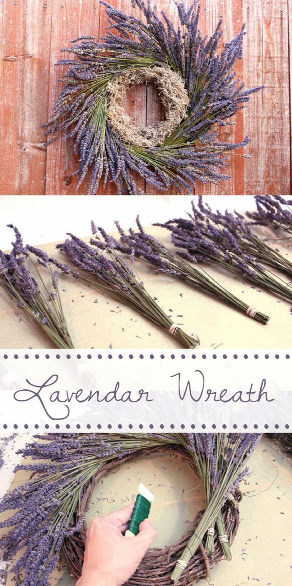 After you take down the Christmas decorations, the house always looks so bare. Replace the holiday wreath with this amazing lavender wreath instead! Cheap and easy to make, and a wonderful way to bring life into your home! www.ehow.com/...