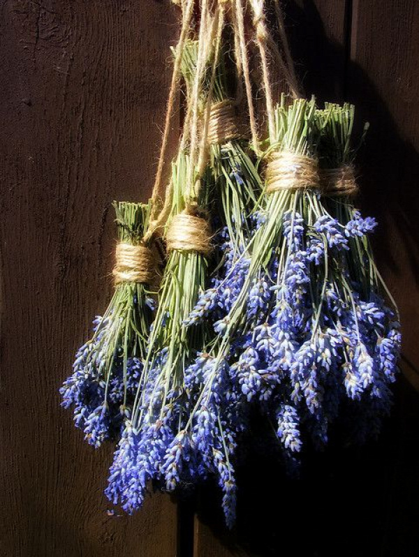 hanging lavender keeps the flies out. Need to hang this in my chicken coops!