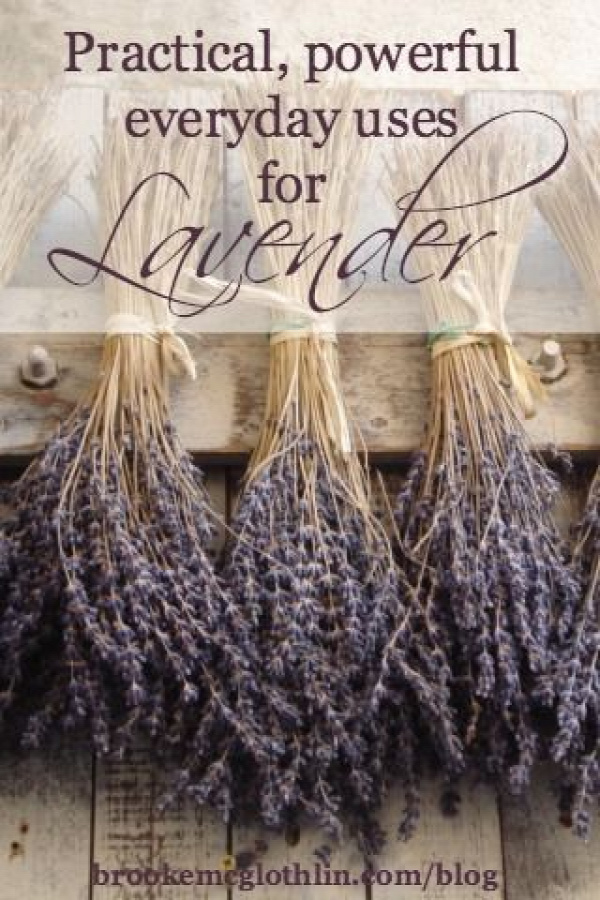 practical, powerful, everyday uses for lavender