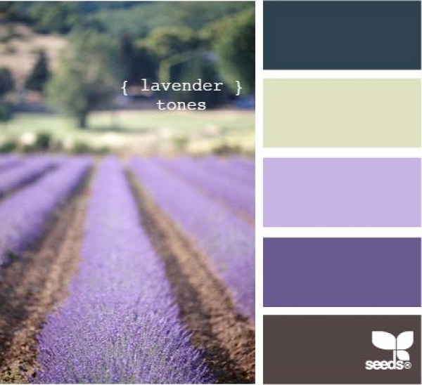 lavender tones - color swatches