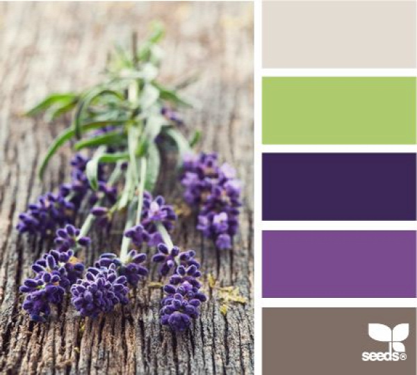 lavender tones - my favorite