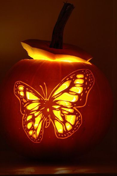 Butterfly Pumpkin Carving by Norbini, via Flickr.  Repinned by An Angel's Touch, LLC, d/b/a WCF Commercial Green Cleaning Co. Denver's Property Cleaning Specialists.  http://www.angelsgreencleaning.net/Detailed-Cleaning-Services.html