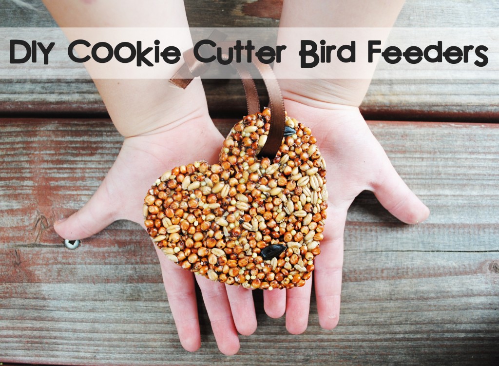 Things You Never Thought to Do With Christmas Cookie Cutters-DIY Cookie Cutter Bird Feeders