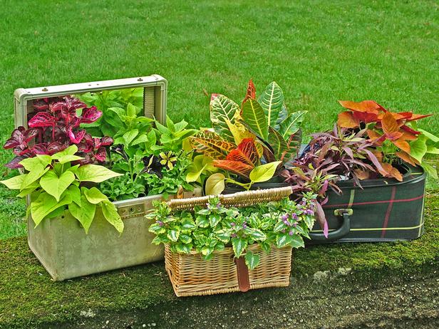 nyár kert kertészkedés újrahasznosítás