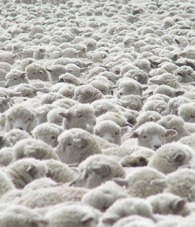 régi népélet naptára kisfarsang időjárás pásztor tél dologtiltás
