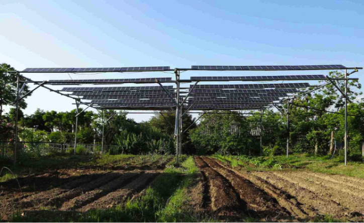 napelem szolárfarm megosztott növénytermesztés solar sharing fenntartható mezőgazdaság