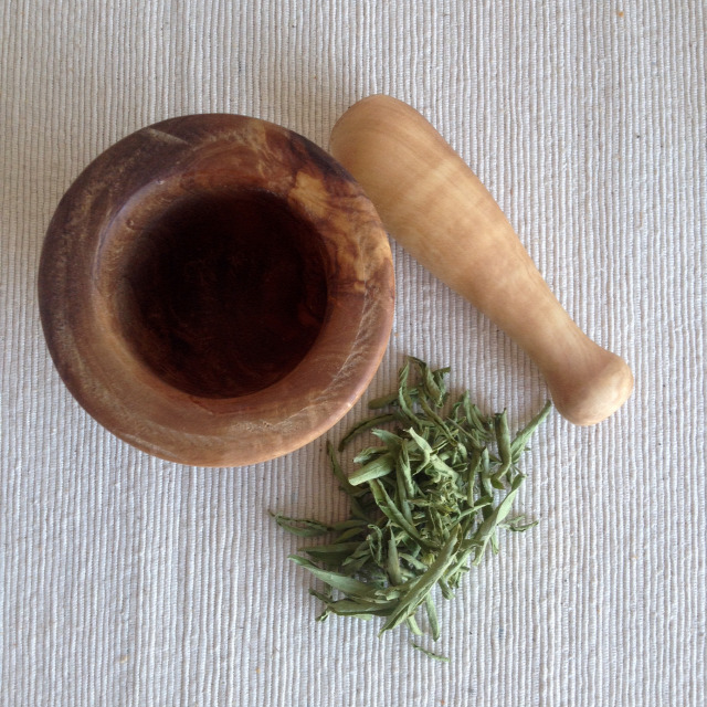 konyhakert fűszer stevia