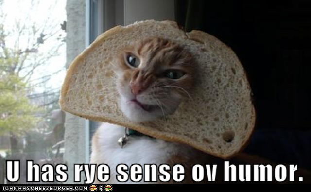 funny-cat-pictures-u-has-rye-sense-ov-humor.png