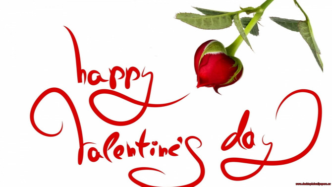 valentin valentin nap kell nekünk szerelem ünnep február 14 bálint nap szerelmes ajándék szerelmesek ünnepe virág