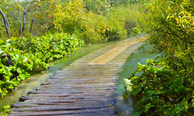 Horvátország szurdok túraút Plitvice vízesések