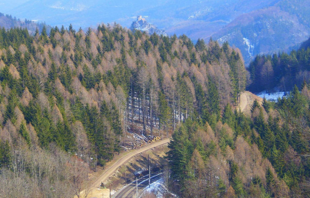 Ausztria Alsó-Ausztria Semmering vonat Semmeringbahn