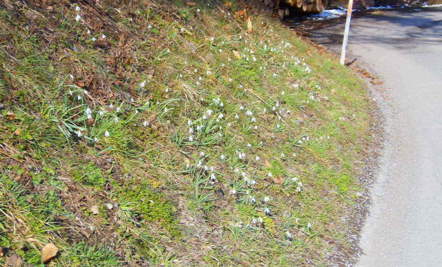Ausztria Alsó-Ausztria Semmering vonat Semmeringbahn