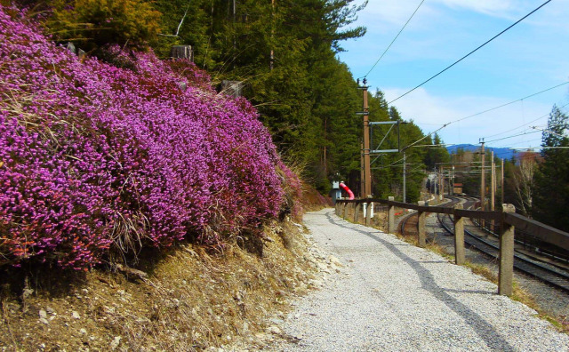 Ausztria Alsó-Ausztria Semmering vonat Semmeringbahn