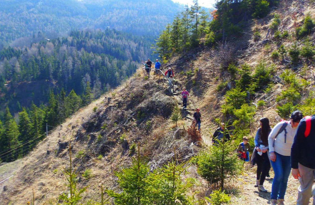 Ausztria Alsó-Ausztria Semmering vonat Semmeringbahn