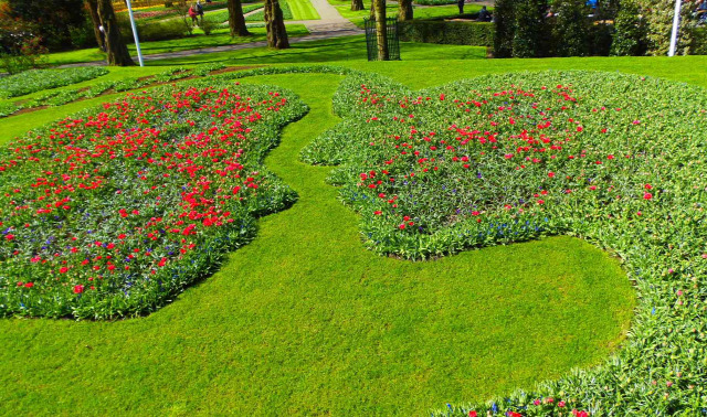 Hollandia arborétum virágok