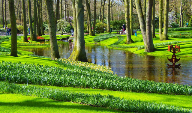 Hollandia arborétum virágok