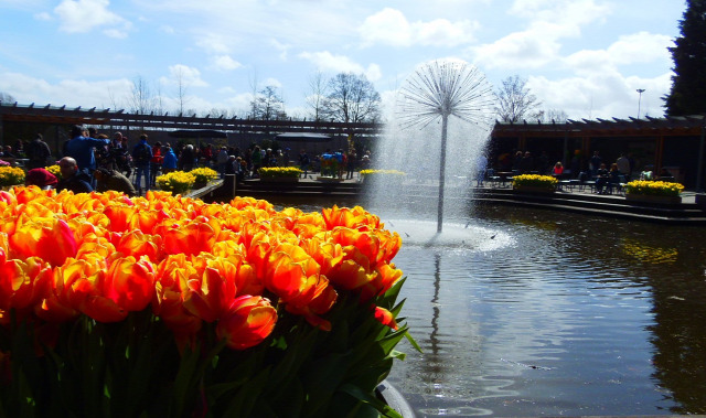 Hollandia arborétum virágok