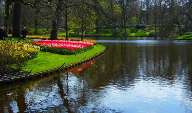 Hollandia arborétum virágok