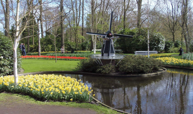 Hollandia arborétum virágok