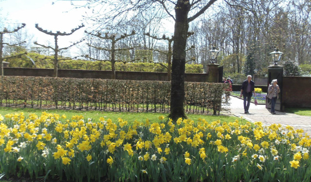 Hollandia arborétum virágok